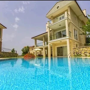 https://villa-beatrice.turkeyfethiyehotels.com