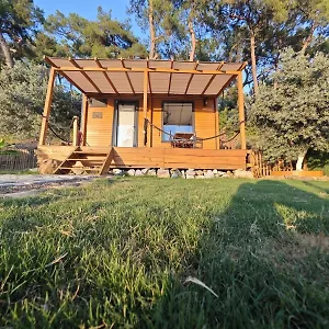 https://tiny-mini-house.oludenizhotels.org